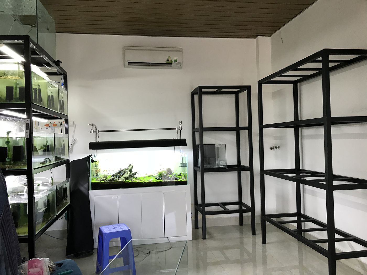 Early 2017 Vietnam bedroom with my first shrimp breeding racks and center show tank