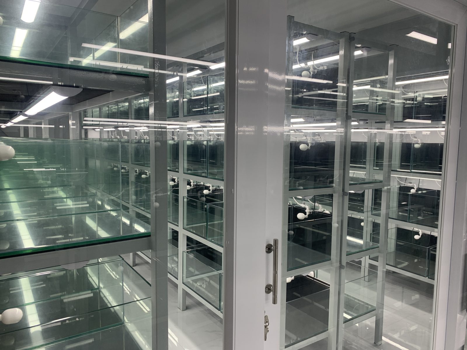 Through the glass — plumbed rows