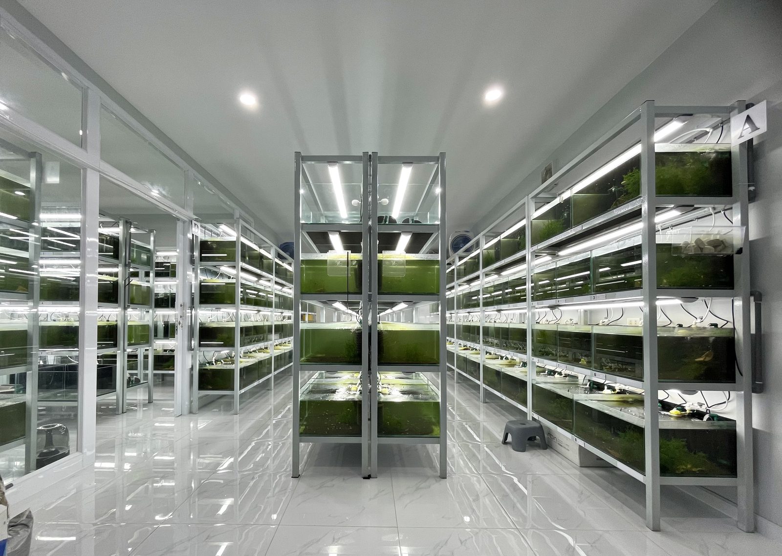 Stocked — aisle A