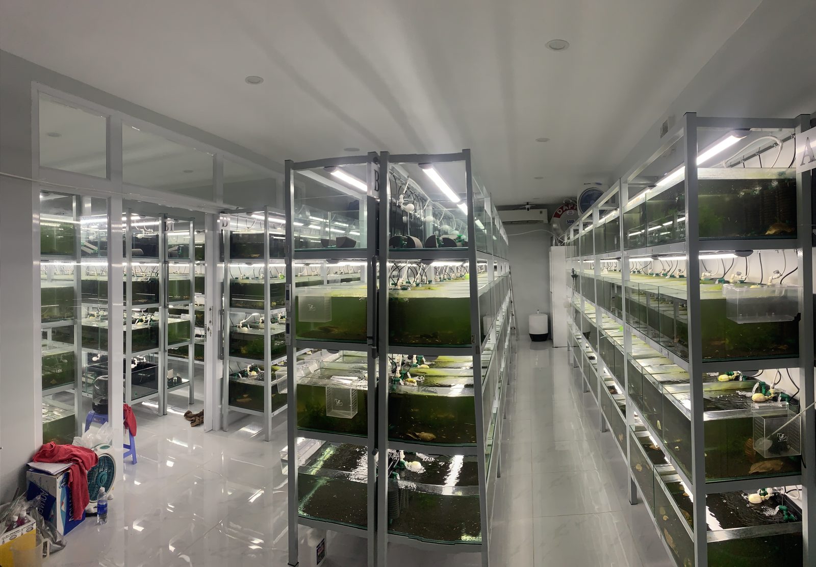 Stocked — full room